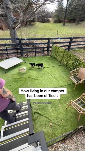 15K views · 226 reactions | It’s cute, out of the way, and within reach of their food and water! Woot! Total win 﫶❤️ https://www.amazon.com/shop/fifth_wheel_living/list/3V5NGP3XP3ALP #rvlifewithdogs #petcare #dogmom #dogcare #petcaretips #dogmoms #lifewithdogsisbetter #mansbestfriend #dogsarefamily | Kirs & Devin Fifth Wheel Living | Facebook