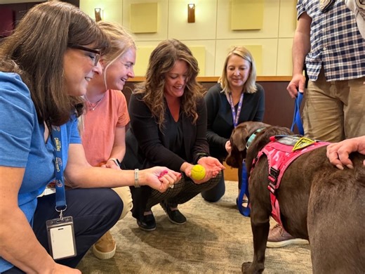 Meet Ruby: the rescue dog turned crisis K9 bringing comfort to Avon Lake