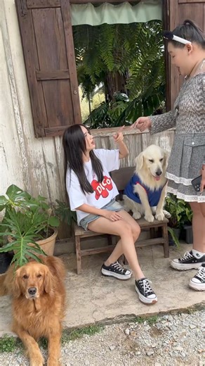 2.1M views · 45K reactions | Gia Linh giải hoà cho 2 em cún Bông và Bụp | Gia Linh | Facebook