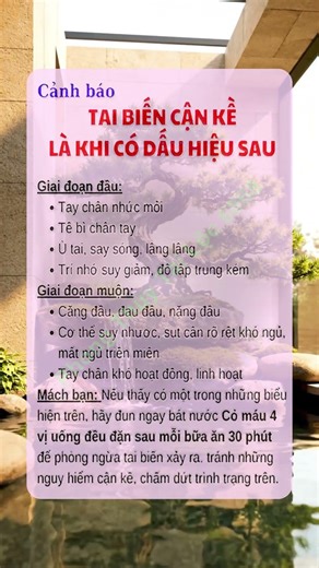 Bí mật Phong Thủy Lộc Tài 6868: Tri Thức Cổ Nhân giúp bạn cải vận, thu hút tài lộc không ngờ!