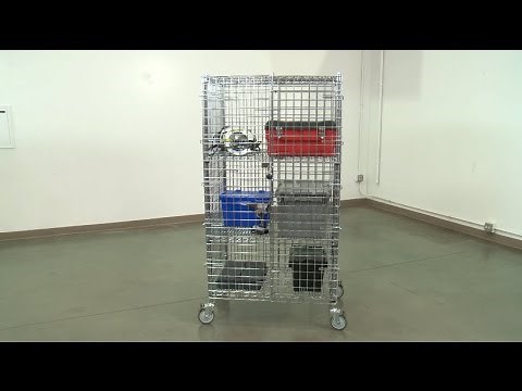 Security Carts