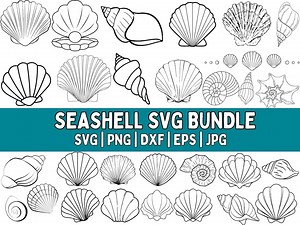 Seashell SVG Bundle: Clipart, Cut Files, Silhouette (digital Download) - Etsy