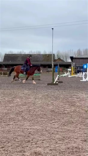 First Time at a Pony Playground: Nell's Adventure