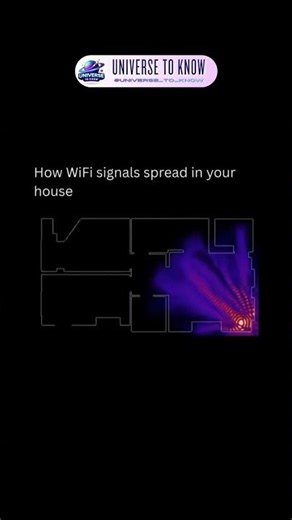 How wifi signal spread in your house #science #shorts