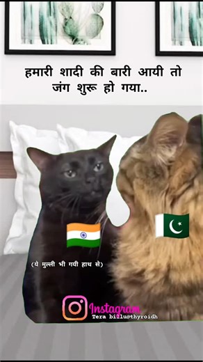 Tera billu on Instagram: "Jang hoga 💀 #terabillu❤️ #trendingreels #thyroidh #funnymemes #likesforlike #viralreels #dailymeme #india #palgamkashmir🖤🤍⛄"