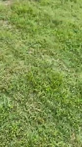 203K views · 1K reactions | Thank you for stopping to help! 殺歷 | Try Not to Laugh | Facebook