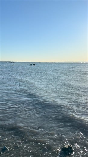 33 reactions | A shellfish farmers commute  | Taylor Shellfish Farms | Facebook