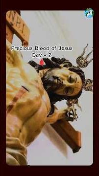 Covered by the Precious Blood of Jesus 🩸Day 2🩸The Blood of the New Covenant #preciousblood #jesus