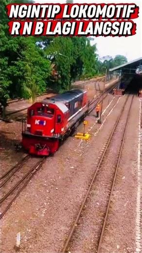 NGINTIPIN ARTIS LAGI LANGSIR #trending #redandblue #shortvideo