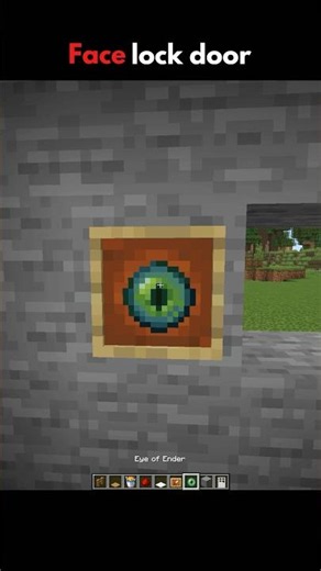 Minecraft working face lock door