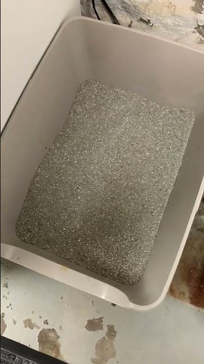 My Easy Step-by-Step Process to Changing Litter Boxes with Dr. Elsey's and Hypochlorous
