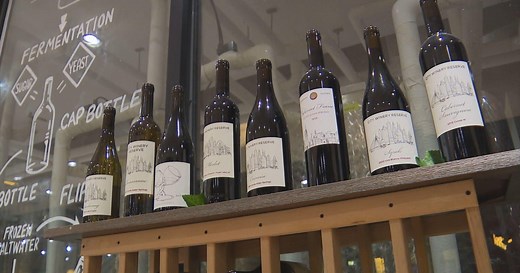 Exploring how wine is made and tasted at Boston's City Winery