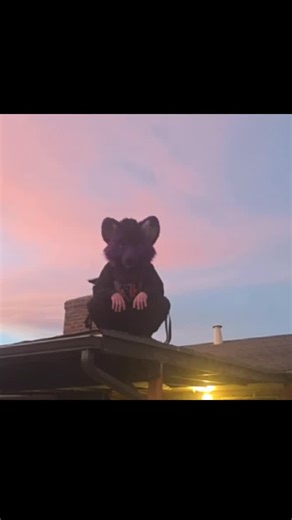 Painted Desert Fur Con on Instagram: "Have you gotten your fluff butt a gift yet? Still need tickets for the con? #painteddesertfurcon, #denfur, #goldenstatefurcon AND #aquatifur all have 15% off admission until 12/26 @11:59pm!! If you use Code: KidnapTheSandyClaws Hope to see yall there!!!"