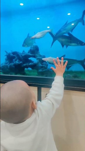 “Curious eyes exploring underwater life 🌊👶” #trending #viralshort #ytshorts #ytviral #ytbabies