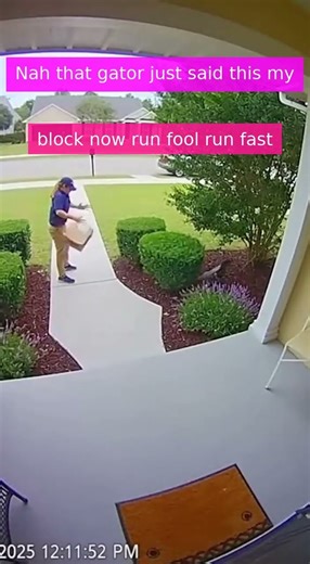 Gator Ambush at the Front Door!