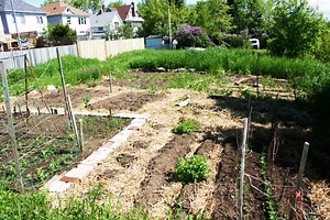 The Community Garden