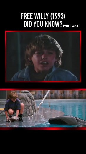 115K views · 807 reactions | Poor Keiko 梁 #freewilly #freewillymovie #keiko #jasonjamesrichter #scottneumyer #didyouknowthis #movietrivia #triviadude #savethewhales | Scott Neumyer | Facebook