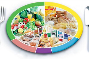 The Eatwell Plate - Netmums