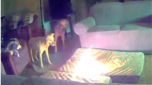 Pet dog sparks house fire after chewing on lithium-ion battery in Oklahoma. Video