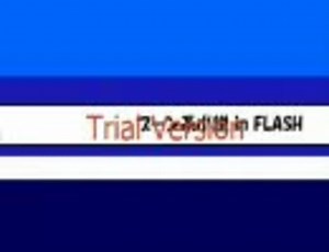 （　＾ω＾）ＦＬＡＳＨ