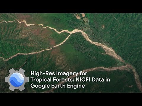 High-Res Imagery for Tropical Forests: NICFI Data in Google Earth Engine