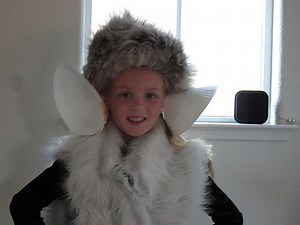 Ears: Do design, size and shape matter? | STEM Activity