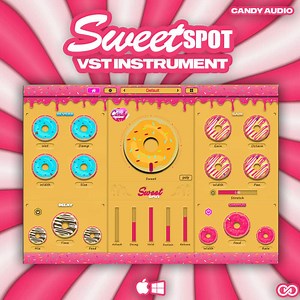 Sweet Spot VST - Producer Sources
