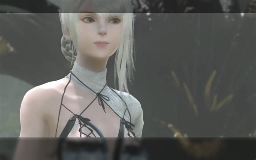 尼尔人工生命优化教程 显卡+补丁优化教程 | 解锁高帧率 垂直同步 隐藏鼠标 手柄适配