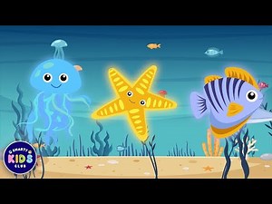 Sea Animals Song for Kids + More Animals Songs Compilation