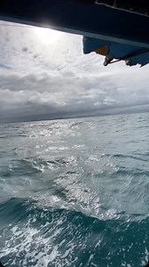 Cristiano Martins on Instagram