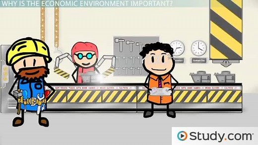 Economic Environment | Definition, Factors & Examples