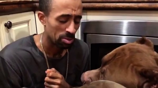 Feeding Giant Pit Bulls Straight from My Mouth—Unbelievable