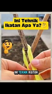 Inilah Berbagai Macam Jenis Ikatan Simpul Tali Yang Bisa Di Pergunakan Intuk Berbagai Keperluan #tipsdantrik #tipsbermanfaat #idekreatif | Fahmi Ideas