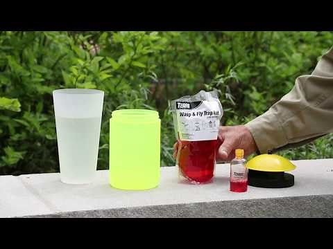 Fly & Wasp Control: TERRO Wasp & Fly Trap Plus Fruit Fly