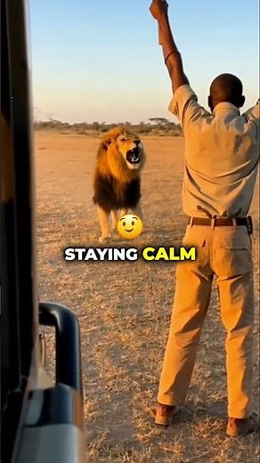 How This Guide Stared Down a Charging Lion 😱😨 #wildlife #lion #animals