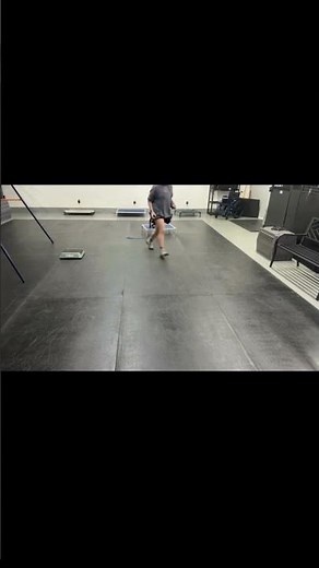 Teaching Dogs to Ask for Attention Politely | Roxie in Training