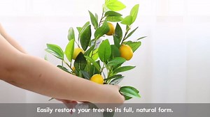 AceList Realistic Small Fake Lemon Tree for Lemon Decor, 14.6 Inches Artificial Lemon Tree with White Pot Potted Plant Perfect for Kitchen, Home, Indoor
