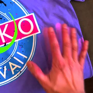 1.6K reactions · 357 shares | Gecko Hawaii is bringing back our...