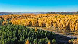 Desertification and Drought Day: United for land