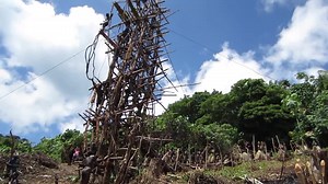 3.4K views · 28 reactions | First people to bungee jump? The Vanuatu. Without safety measures  It's called "land diving" and is performed by the indigenous people of the Republic of Vanuatu. It is also a rite of passage for boys to become men. | Tribes Inspiring Workplaces | Facebook