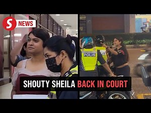 'Inspector Sheila' charged with obstructing police from discharging duty