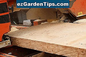Wie man einen Orangenbaum wässert 🌱 Tipps Gärtner - De.ezGardenTips.com