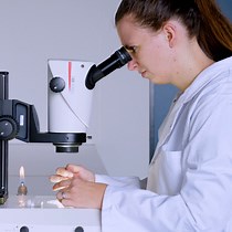 Video: Monitoring Protein Aggregation Kinetics In Vivo using Automated Inclusion Counting in Caenorhabditis elegans