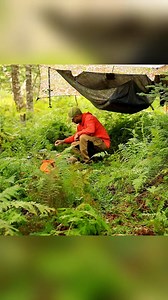4.7M views · 10K reactions | Camping In Rain And Wind With Hammock Tent #bushcraftsurvival #build #camp #camping #survival #shelter #wildlife #outdoors #outdoor #viral #fyp #foryou | Yupy Nino | Facebook