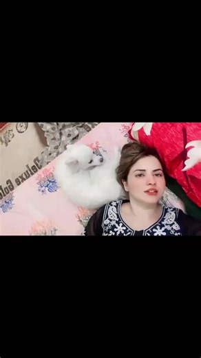 Priyanka mongia (@priyanka.mongia288)’s videos with original sound - Priyanka mongia