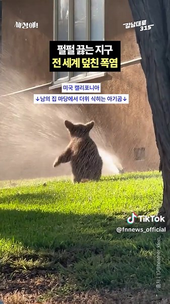 펄펄 끓는 지구, 전 세계 덮친 폭염 #폭염 #온열질환 #지구온난화