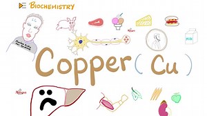 Your Body Needs Copper (Cu).  戀 Are you Copper Deficient?! | Copper...