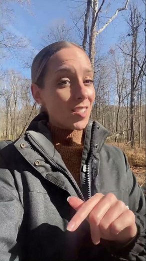 First bobcat trapping season opens in Indiana