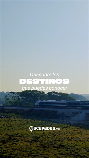 373 reactions · 35 shares | ✨ El Tren Maya te lleva a descubrir la...
