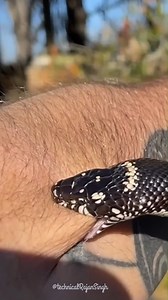 19 reactions | antivenom injection snake bite . . . #science #sciencefacts #astronomy #space #facts #fact #reelitfeelit #viral #technicalrajansingh | Technical Rajan Singh | Facebook